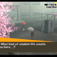 Image for article titled Persona 4 Makes It Personal